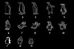 Lade das Bild in den Galerie-Viewer, Pinguin Fußmatte | personalisierbar mit Familiennamen und verschiedenen Pinguine | rutschfest&amp;waschbar | Indoor - GlamourDesign
